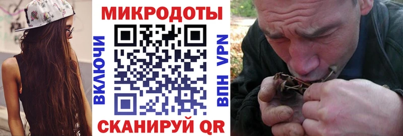 Галлюциногенные грибы Psilocybine cubensis  Купить  Тарко-Сале 